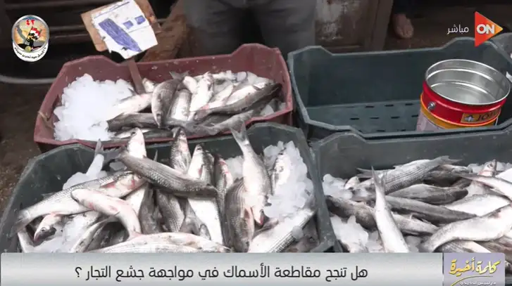   لميس الحديدي تعلق على حملة  مقاطعة الأسماك وتوجه رسالة للتجار  