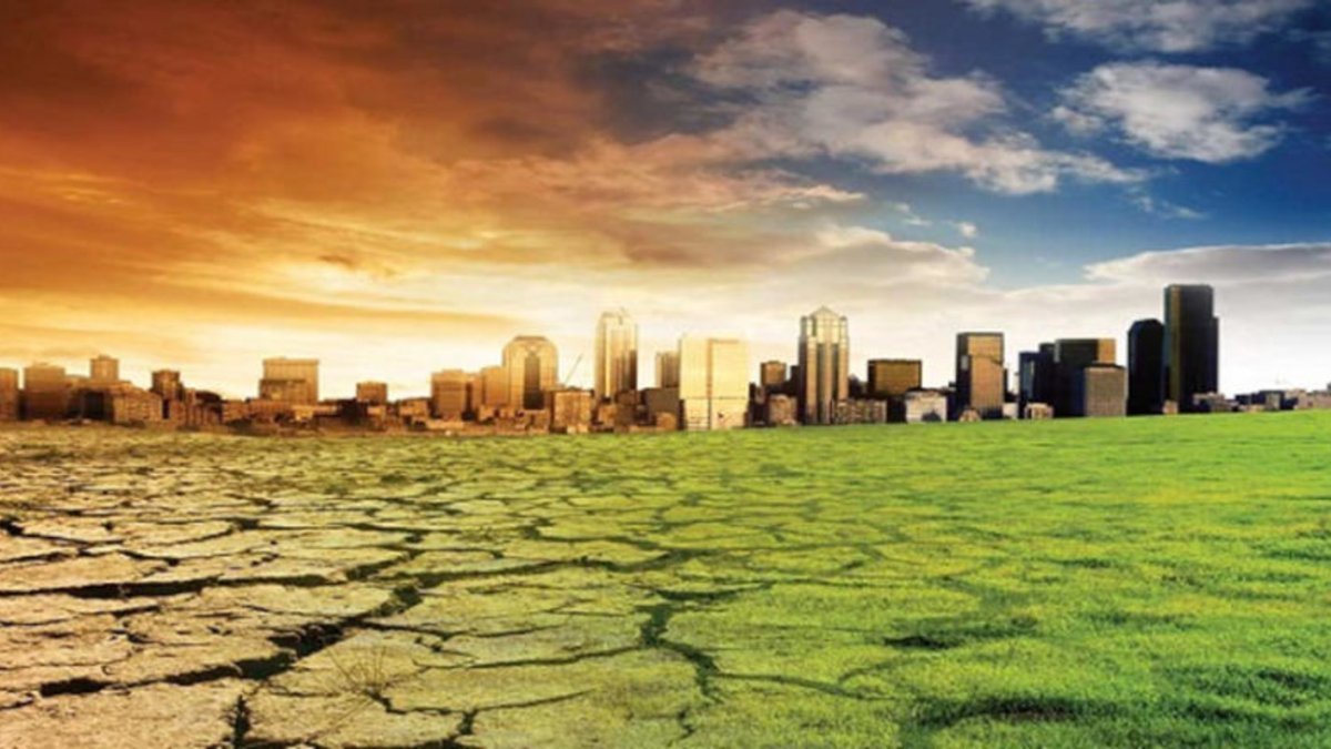 Cities Issue Heatwave Ordinances: Halting Construction, Opening Climate Shelters