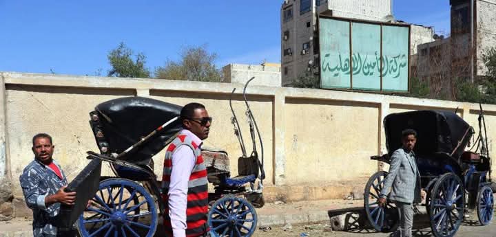 حملة لتقنين أوضاع عربات الحنطور في أسوان