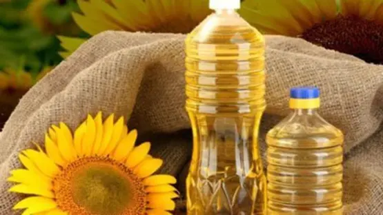 Gale Force Winds Batter Catalonia, Disrupting Activity in Terres de l'Ebre and Pyrenees