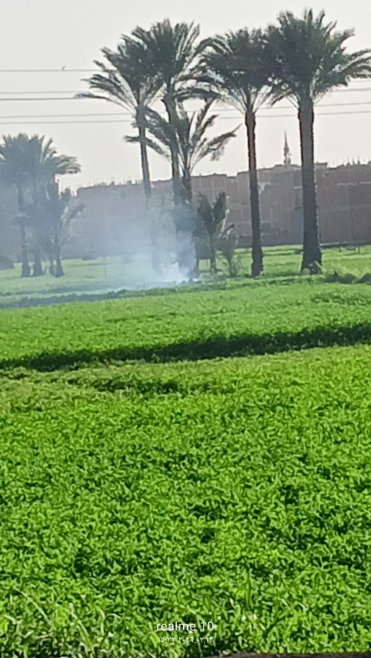وزارة الزراعة تتابع حملة مكافحة القوارض بالمحافظات المصرية