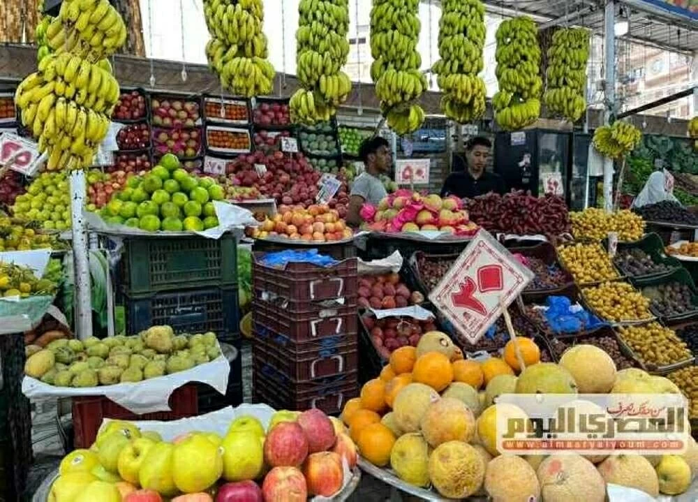 ارتفاع أسعار الفاكهة بالأسواق المصرية اليوم الأربعاء 20 مايو 2026