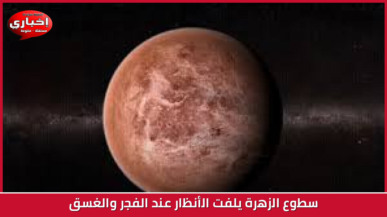 영국 및 유럽 동맹국, 러시아가 남미 개구리 독으로 반체제 인사 알렉세이 나발니를 살해했다고 비난