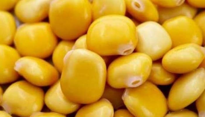 الترمس