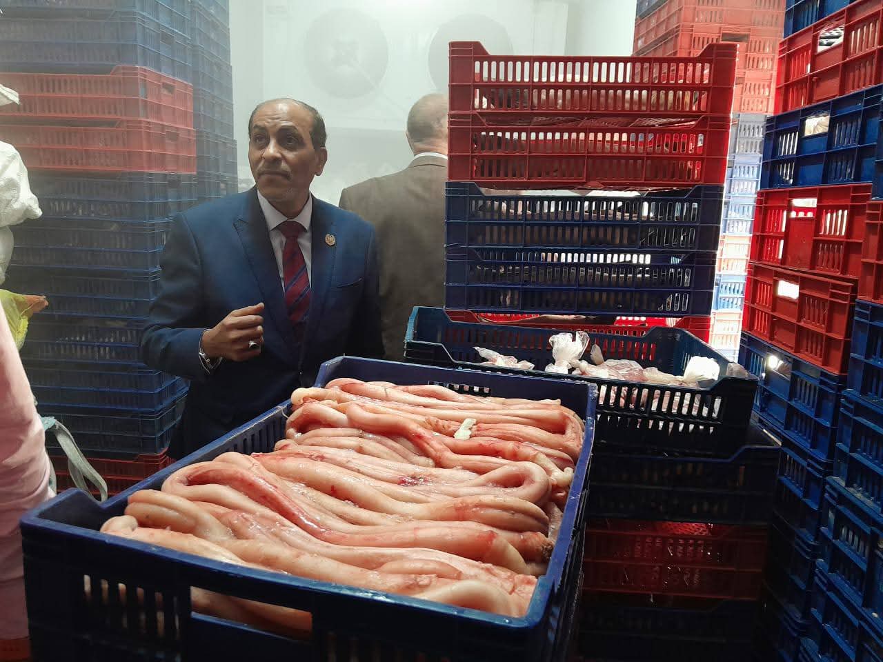 صورة أرشيفية