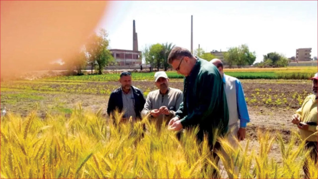 تعديات الأراضي الزراعية: عقوبات رادعة بالسجن والغرامات تصل لمليون جنيه