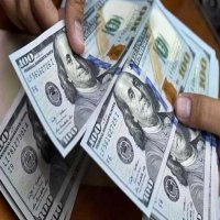 سعر الدولار مقابل الجنيه المصري اليوم الثلاثاء 3-12-2024 في 