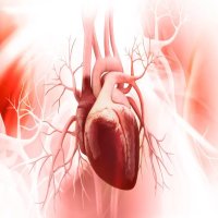 فئات عرضة لأمراض القلب فى الشتاء