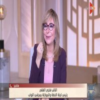 أسباب المناقشة الشديدة بين الحديدي  ورئيس لجنة الخطة والموازنة بمجلس النواب