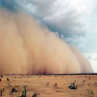 كيفية التصرف أثناء العواصف الترابية؟