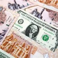 تراجع الدولار أمام الجنية في معظم البنوك اليوم 
