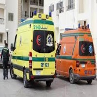 ام تذبح طفليها وتلقي بنفسها في النيل